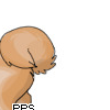 PPScurlytail.png
